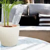 Zavlažovanie hlinenými kužeľmi Relaxdays, sada 8 kužeľov na Náhľad obrázku produktu 2