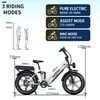 Elektrofahrrad, 250W E-Bike mit 2*18Ah herausnehmbarem Produktbild-Vorschau 10