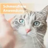 A close-up of a cat's face being petted by a hand, with a marketing overlay. Anteprima dell’immagine prodotto