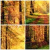 Gerahmtes Poster - Rahmen in heller Eiche - Wald Baum Natur Produktbild-Vorschau 9
