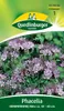 Quedlinburger Saatgut - Phacelia Bienenfreund - Samen - Produktbild-Vorschau 4