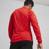 Puma Teamgoal Trainingssweat Herren - Rot Produktbild-Vorschau 6
