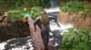 A person is crossing a log over a stream in a forest with a waterfall in the background. Produktbild-Vorschau
