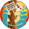 BALDUR Garten 1x Winterharter Eukalyptus Azura® im Produktbild-Vorschau 6
