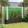 vidaXL Hochbeet mit Gewächshaus-Aufsatz Rattan-Optik Produktbild-Vorschau 3