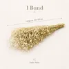 Schleierkraut getrocknet im Bund 50-60cm Gypsophila Produktbild-Vorschau 3