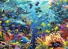 Mondo sommerso 9000d Anteprima dell’immagine prodotto 3