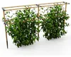 BERRY BUDDY Beerenrankhilfe Erweiterung | Rankhilfen von Produktbild-Vorschau 14