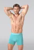 Muchachomalo Herren Boxershorts – 3er Pack – Microfaser & Produktbild-Vorschau 6
