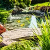 Relaxdays Teichente, 10er Set, schwimmende Entenküken, für Produktbild-Vorschau 5