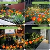 Lampade solari per la decorazione del giardino luci solari Anteprima dell’immagine prodotto 8