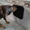 Purlov 19378 Leckmatte für Hunde und Katzen Produktbild-Vorschau 16