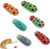 6 Stück Mini Käfer, Katzenspielzeug Interaktiv Käfer, Produktbild-Vorschau 1