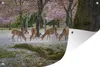 MuchoWow® Produktbild-Vorschau 1