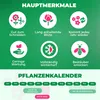 Pfingstrosen Pflanzen Winterhart Coral Passion - 1 Wurzel - Produktbild-Vorschau 4