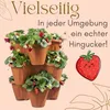 Pflanzturm Erdbeerturm 3er Set Säulentopf Stapelbar Produktbild-Vorschau 8