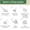 Schicker Mineral-Rasensand 25 kg-0,8-1,6mm Produktbild-Vorschau 3