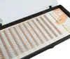 Y Lashes 2D Volumen Wimpern fertige Fächer Produktbild-Vorschau 3