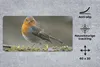 MuchoWow® Mauspad Mousepad Rotkehlchen - Wasser - Moos Produktbild-Vorschau 2