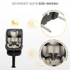 CARETERO Fortis, Reboarder 360 Drehbar mit Isofix, 2in1 Produktbild-Vorschau 4