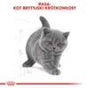 Royal Canin British Shorthair Kitten, Kocięta, Brytyjski Podgląd zdjęcia produktu 8