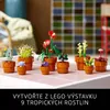 Miniaturn rostliny Náhled obrázku produktu 25