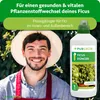 Purgrün Ficus-Dünger 1 Liter Produktbild-Vorschau 2