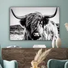 OneMillionCanvasses® - Obrazy na plátně - Kráva - Skotský Náhled obrázku produktu 4