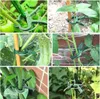 Collage of images showing green plastic plant clips being used to support various plants and stakes in a garden setting. Produktbild-Vorschau