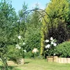 A garden scene with a metal archway decorated with white flowers. Podgląd zdjęcia produktu