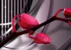 Akustikbild Blumen Orchidee 200x100 cm 5-teilige Bilder Produktbild-Vorschau 4