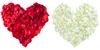 500 Rosenblätter Rosenblüten Rosen Blütenblätter Liebe Produktbild-Vorschau 2