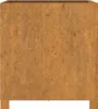 vidaXL Pflanzkübel mit Beinen 2 Stk. Rostig 50x50x50 cm Produktbild-Vorschau 6