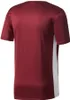 Adidas T-Shirt ENTRADA CD8430 Rozmiar: S Podgląd zdjęcia produktu 6
