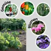 Pflanzenhalter Tomatensäule Blumenhalter Rankhilfe Produktbild-Vorschau 3