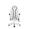 Diablo X-One 2.0 Herní židle Kancelářská židle Kancelářská Náhled obrázku produktu 3