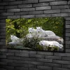 Tulup® Leinwandbild -100x50 cm - Wandkunst - Drucke auf Produktbild-Vorschau 2