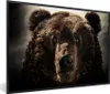 MuchoWow® MuchoWow® Gerahmtes Poster Nahaufnahme Braunbär Produktbild-Vorschau 1