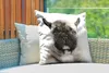 MuchoWow® Outdoor Kissen - Porträt eines französischen Produktbild-Vorschau 3