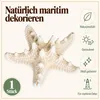 Gleichmäßig heller Farbton nach dem Bleichen, trocken und leicht Produktbild-Vorschau