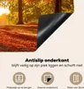 KitchenYeah© Herdabdeckplatte Herbst - Licht - Wald , Produktbild-Vorschau 4