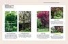 Kleine Bäume für den Garten Produktbild-Vorschau 12