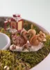 Goebel Weihnachtsfigur Eichhörnchen auf der Suche nach Produktbild-Vorschau 6