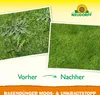 Neudorff Rasendünger Moos-&UnkrautStopp 1L für 100 m² Produktbild-Vorschau 6
