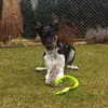 Jouet pour chien Dingo en Fourrure artificielle + poignée Voir les images du produit 5