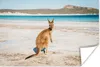 MuchoWow® Poster Känguru - Strand - Meer 120x80 cm - Bilder Produktbild-Vorschau 2