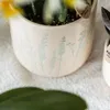 Kolibri Orchids | Żółta orchidea Albenga + Kwiatowa Podgląd zdjęcia produktu 2