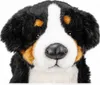 A close-up studio shot of a plush Bernese Mountain Dog toy. Podgląd zdjęcia produktu