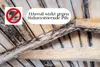 HAresil Basic eco e Holzschutzlasur Holzschutzmitte gegen Produktbild-Vorschau 5