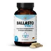 GOLDEN PEANUT Energie-Stoffwechsel Tabletten mit Maca Produktbild-Vorschau 1